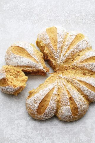 Rübli-Brötchenblume Rübli-Brötchenblume