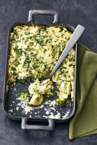 Tortellini-Pastinake Tortellini-Pastinake