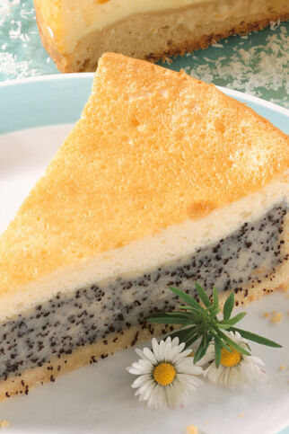 Mohn-Schmand-Torte Mohn-Schmand-Torte