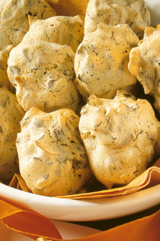 Wespennester Wespennester