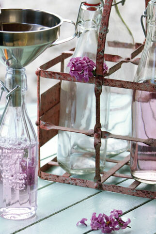 Fliedersirup Fliedersirup