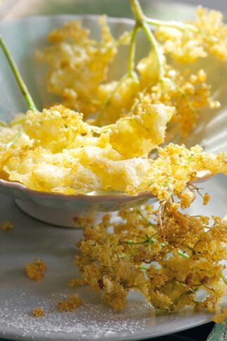 Knusprig frittierte Hollerkücherl