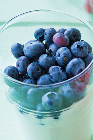 Joghurtmousse mit Heidelbeeren Joghurtmousse mit Heidelbeeren