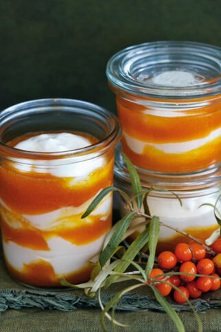 Joghurt-Mousse mit Sanddorn Joghurt-Mousse mit Sanddorn