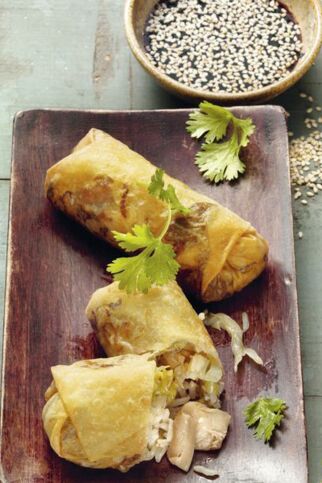 Frühlingsrollen mit Spitzkohl-Pilz-Füllung Frühlingsrollen mit Spitzkohl-Pilz-Füllung