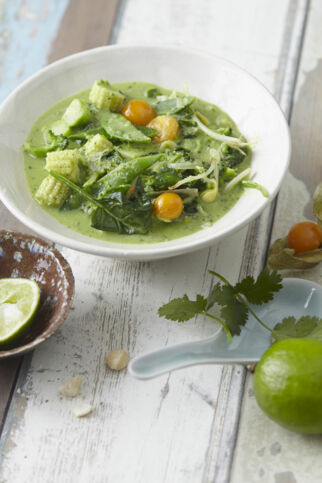 Grünes Thai-Curry mit Kokosmilch Grünes Thai-Curry mit Kokosmilch
