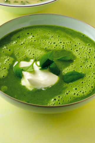 Portulaksuppe Portulaksuppe