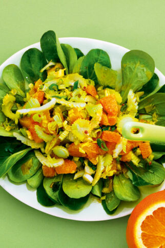 Sellerie-Orangen-Salat
