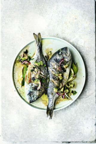 Dorade mit Oliven-Avocado-Salsa Dorade mit Oliven-Avocado-Salsa