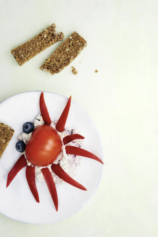 Tomaten-
Krake Tomaten-
Krake