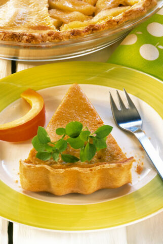 Pumpkin Pie Pumpkin Pie