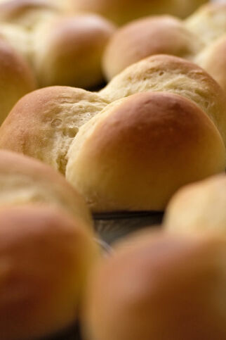 Orangen-Brioche