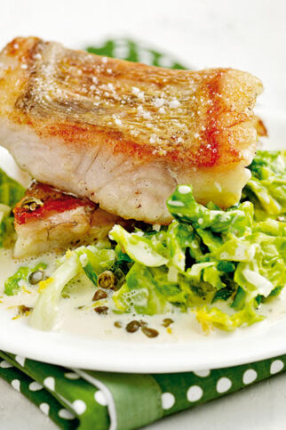 Gebratener Zander auf Sahnewirsing Gebratener Zander auf Sahnewirsing