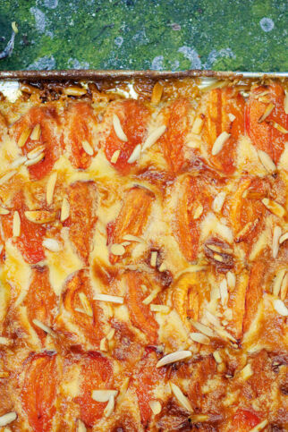 Marillen-Blechkuchen Marillen-Blechkuchen