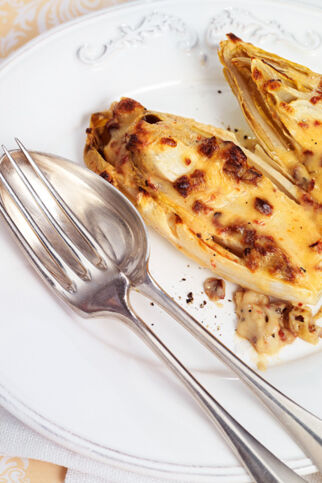 Chicorée-Gratin Chicorée-Gratin