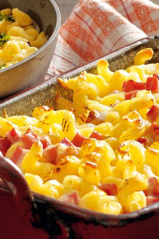 Bergkäse-Nudel-Auflauf Bergkäse-Nudel-Auflauf