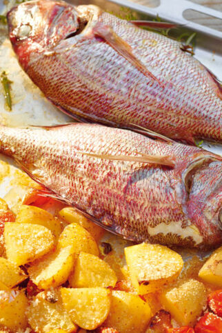 Dorade aus dem Backofen Dorade aus dem Backofen
