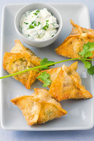 Pilz-Wan-Tans Pilz-Wan-Tans