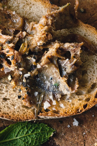 Rillettes de canard - Entenrilettes