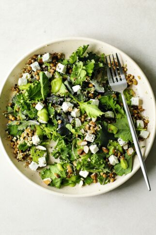 Grünkohlsalat Grünkohlsalat