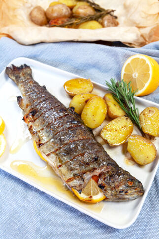 Gegrillte Forelle Gegrillte Forelle