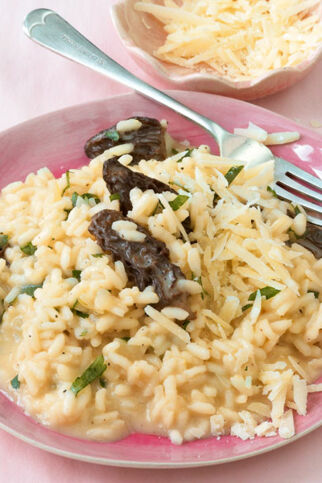 Morchelrisotto Morchelrisotto