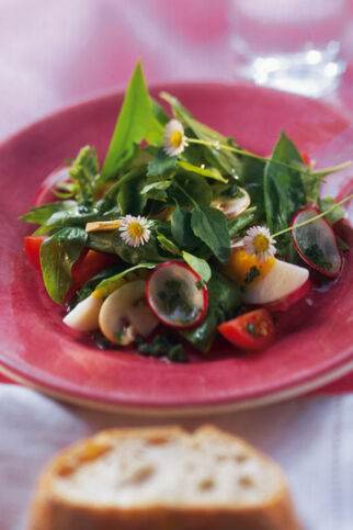 Frühlingssalat Frühlingssalat