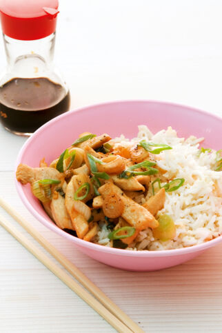 Japan-Reistopf Japan-Reistopf