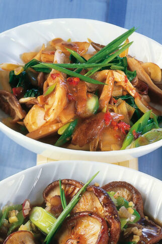 Gemüse-Austernpilz-Wok Gemüse-Austernpilz-Wok