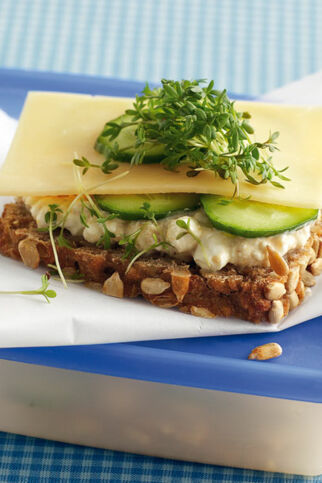 Käsebrot mit Gurke Käsebrot mit Gurke