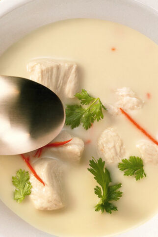 Hühnersuppe mit Reisessig