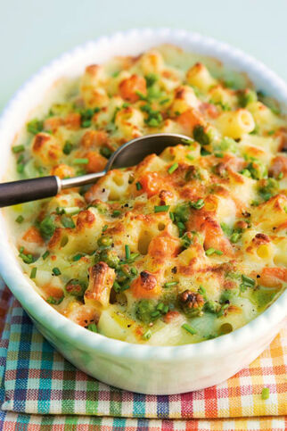 Nudel-Schinken-Gratin Nudel-Schinken-Gratin