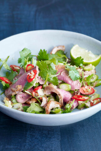 Thai-Entenbrustsalat Thai-Entenbrustsalat