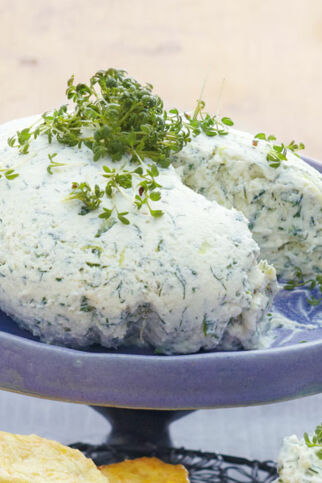 Zazikimousse Zazikimousse