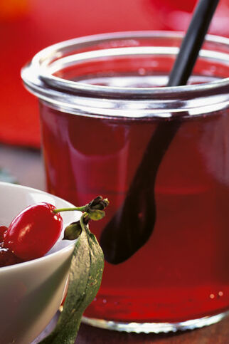 Schlehengelee Schlehengelee