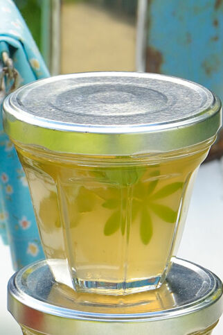 Waldmeistergelee Waldmeistergelee