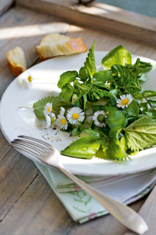 Brunnenkressesalat mit Wildkräutern und Blüten Brunnenkressesalat mit Wildkräutern und Blüten