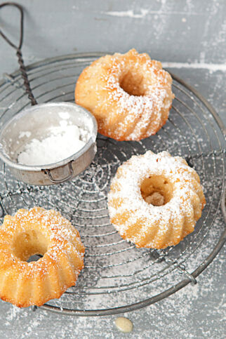 SCHNELLER GUGLHUPF SCHNELLER GUGLHUPF