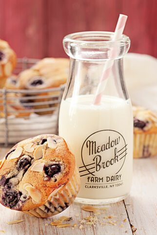 Heidelbeer-Muffins Heidelbeer-Muffins