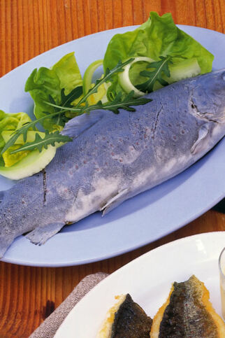 Forelle blau Forelle blau