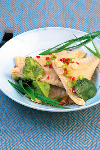 Asiatische Maultaschen Asiatische Maultaschen
