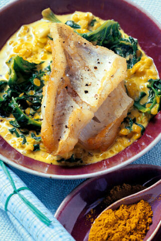 Zander mit gelber Linsensauce und Wurzelspinat Zander mit gelber Linsensauce und Wurzelspinat