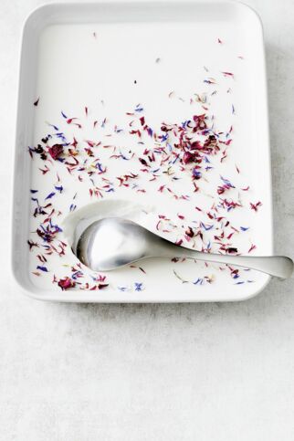 Kokosgelee Kokosgelee