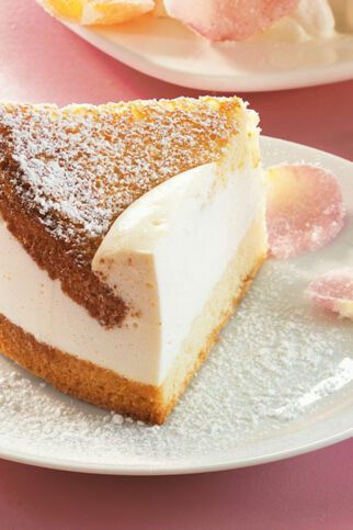 Käse-Sahne-Kuchen