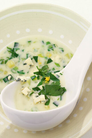 Zucchini-Käse-Sauce Zucchini-Käse-Sauce