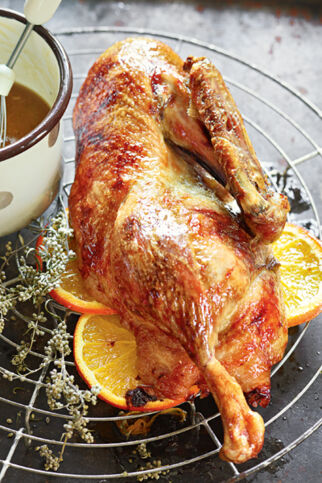 Ente à l'Orange Ente à l'Orange