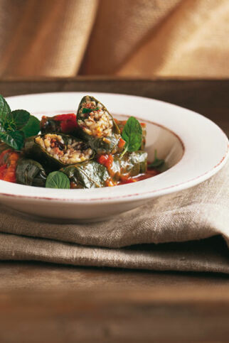 Gefüllte Weinblätter Gefüllte Weinblätter