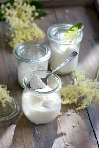 Holunderblütenmousse Holunderblütenmousse