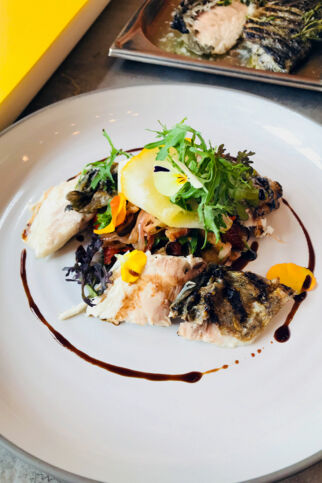 Dorade auf mediterranem Brotsalat Dorade auf mediterranem Brotsalat