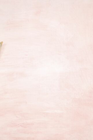 Bunte Grünkern-pizza Bunte Grünkern-pizza